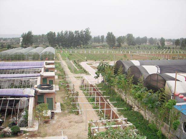 廣西金秀盤王河農(nóng)業(yè)開發(fā)有限公司